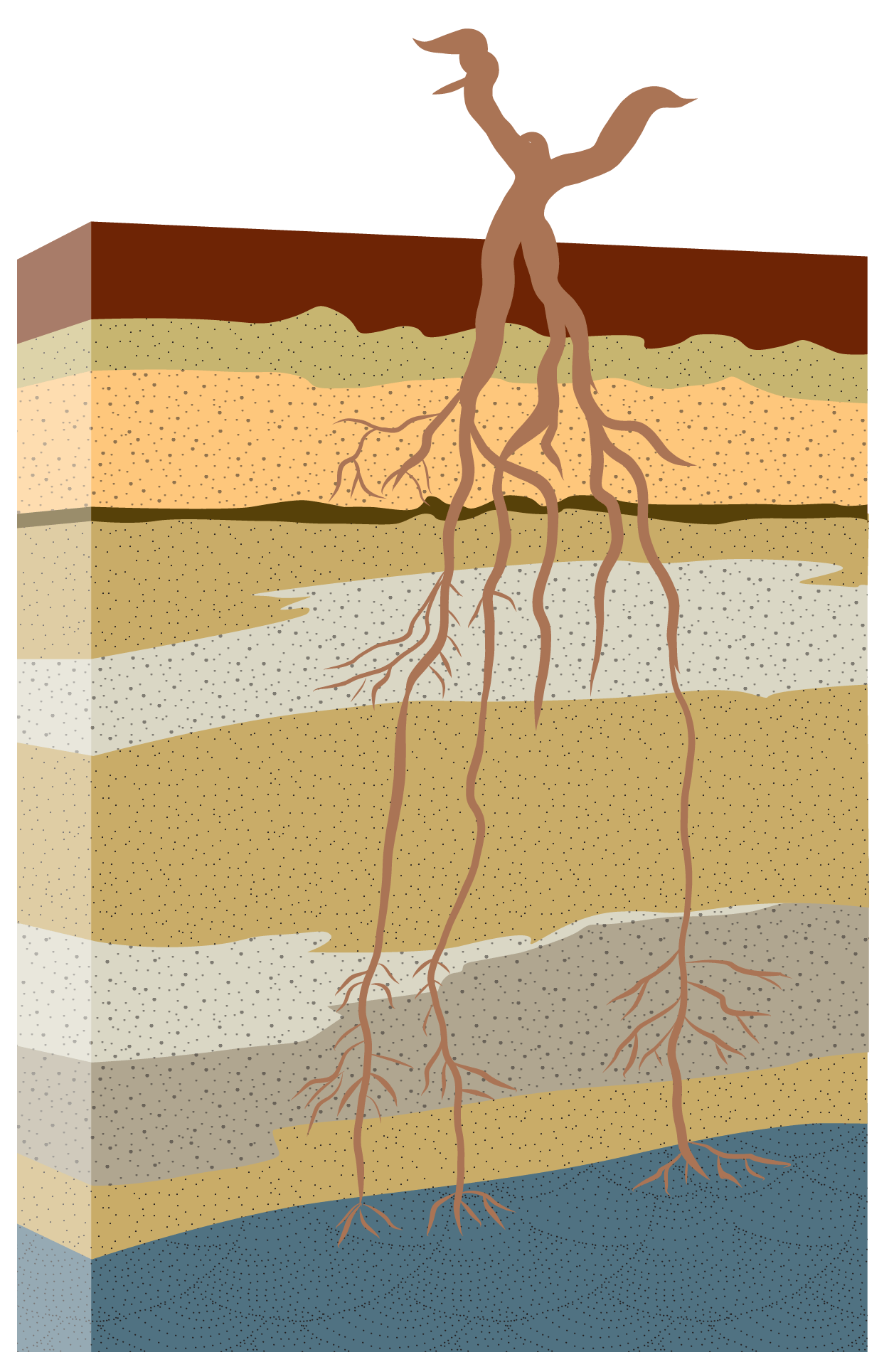 Victory Point Soil Structure