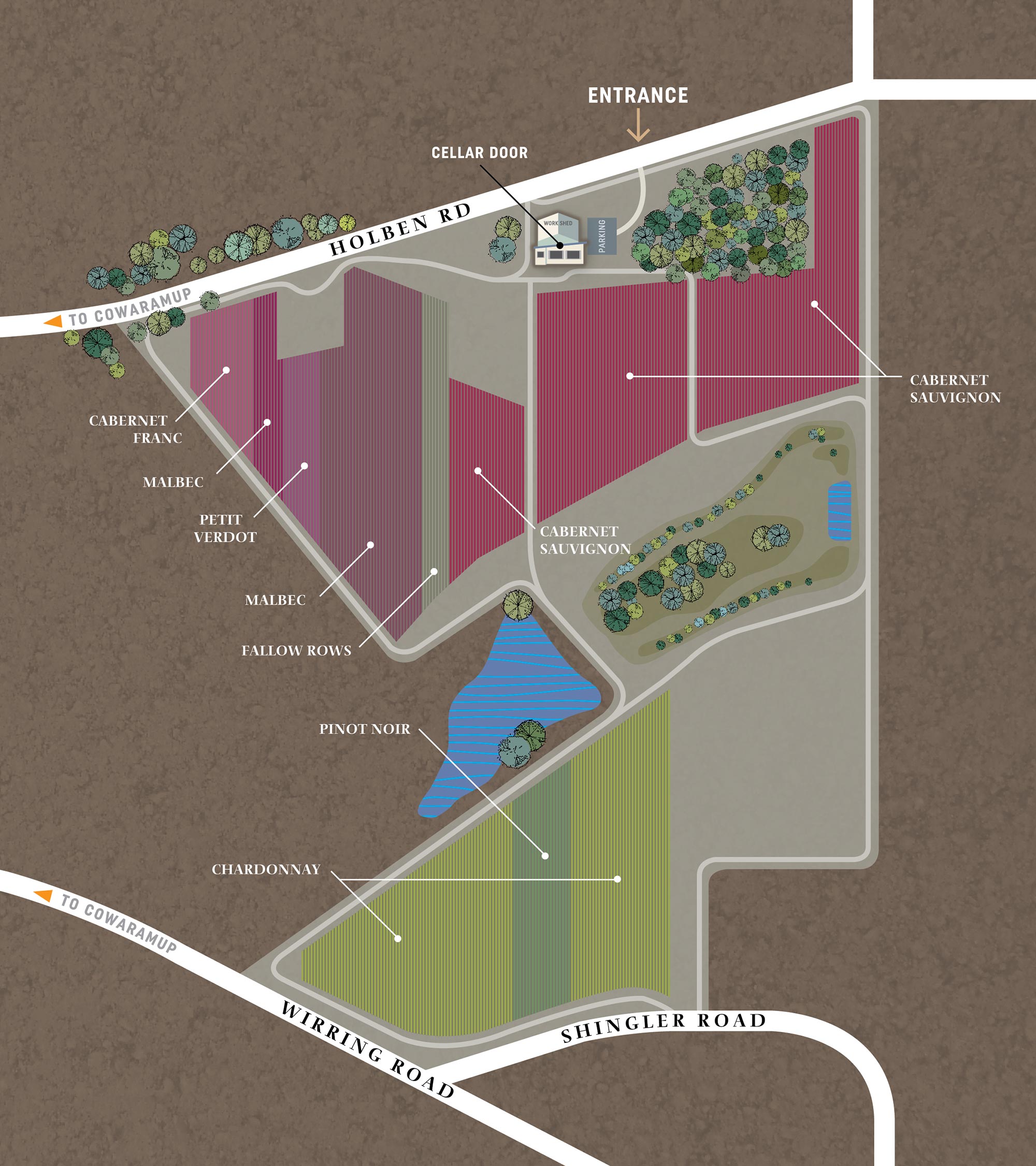 Victory Point Vineyard Showing Grape Varieties